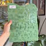 Apple Green Dappled Mottled Sheet Glass