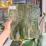 Tan Green Mixed Mottled Sheet Glass