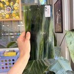Dark and Lime Green Opal Kokomo Sheet Glass – RL442