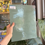 Sage Green Celedon Vintage Opal Armstrong Sheet Glass – RL446