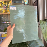 Sage Green Celedon Vintage Opal Armstrong Sheet Glass – RL446