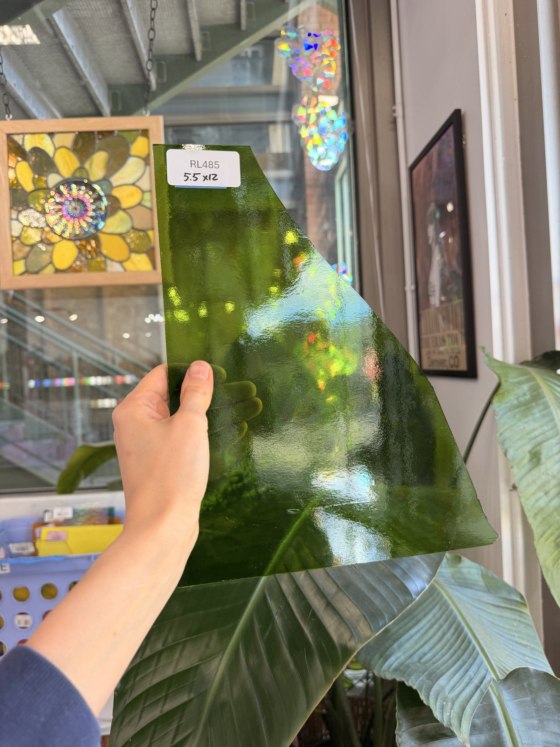 Moss Green Transparent Oceanside Fusible 96 COE – RL485