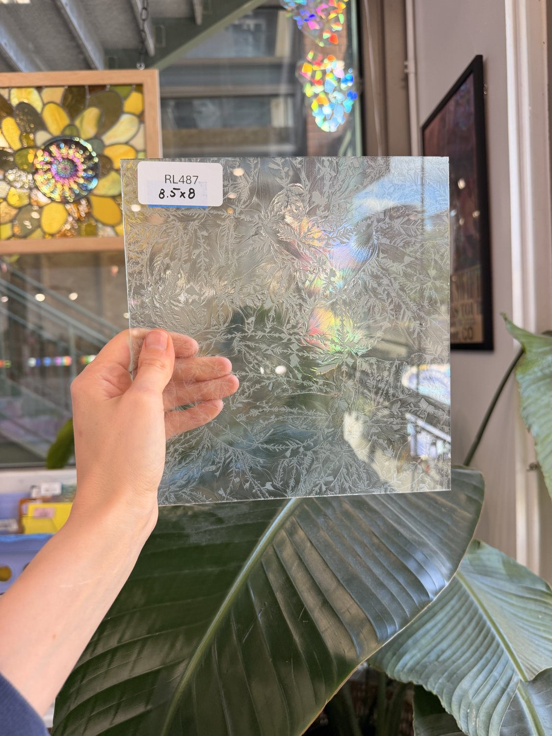 Clear Textured Glue Chip Frost Sheet Glass – RL487