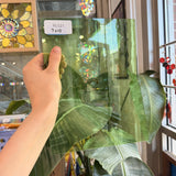 Vintage Light Green Mouthblown GNA Sheet Glass