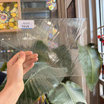 Vintage Clear Spectrum Baroque Sheet Glass – RL532
