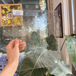 Vintage Clear Seedy Spectrum Sheet Glass