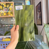 Dark and Lime Green Opal Kokomo Sheet Glass – RL596