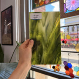 Dark and Lime Green Opal Kokomo Sheet Glass – RL599