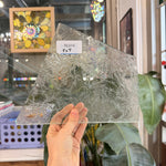 1/4 Thick Textured Frosted Glue Chip Sheet Glass