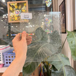 Heavy Seeded Mouthblown Lamberts Sheet Glass