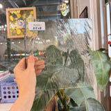 Clear Transparent Reamy Lamberts Mouthblown Sheet Glass