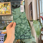 Emerald Mottled Bullseye Sheet Glass
