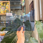 Light Blue Artique Spectrum Sheet Glass
