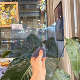 Light Blue Artique Spectrum Sheet Glass