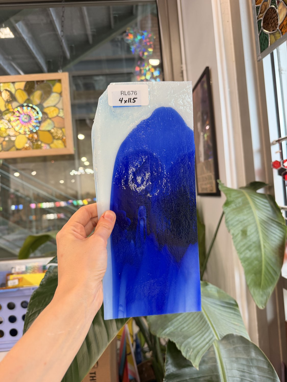 Blue White Mixed Bullseye