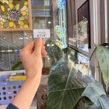 Clear Transparent Sheet Glass