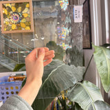 Clear Waterglass Oceanside Sheet Glass