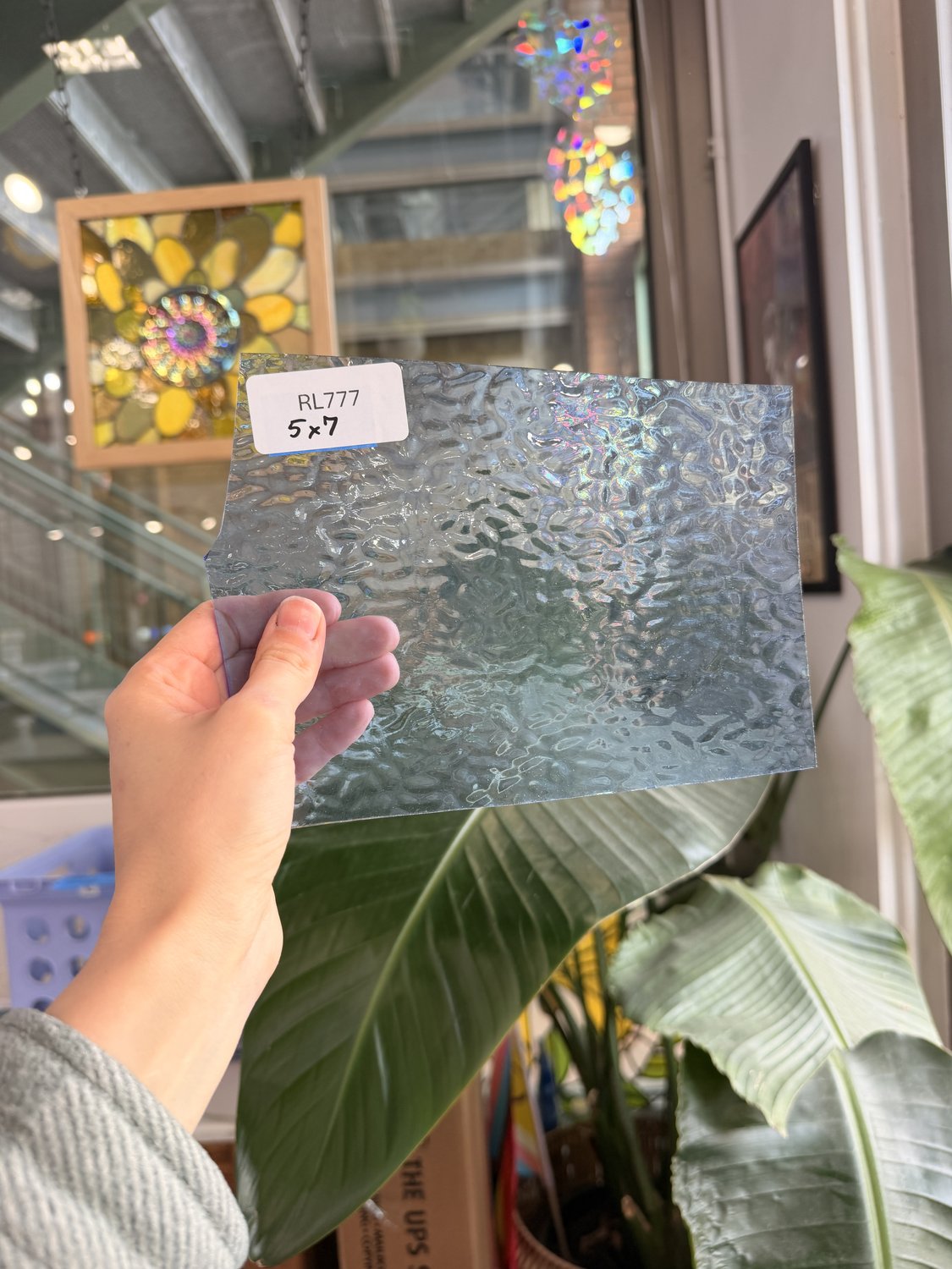 Baby Blue Transparent Textured English Muffle – RL777