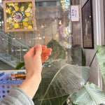 Vintage Light Pink Seedy Spectrum Sheet Glass