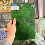 Green Florentine Transparent Textured Wissmach Sheet Glass – RL801