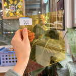 Light Amber Vintage GNA Sheet Glass – RL816