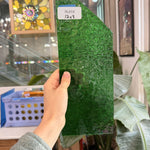 Green Florentine Transparent Textured Wissmach Sheet Glass – RL819