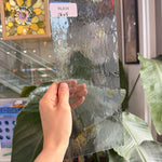 Gray Transparent Oceanside Rough Rolled Sheet Glass Fusible 96 COE – RL839