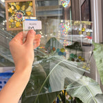 Clear Standard Float Sheet Glass – RL856