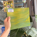 Avocado Opal Wissmach Fusible 96 COE Sheet Glass
