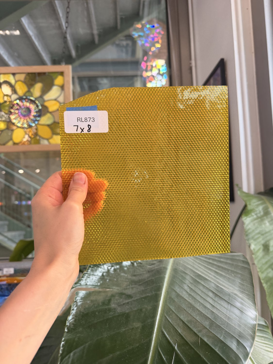 Dandelion Transparent Cube Sheet Glass