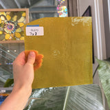 Dandelion Transparent Cube Sheet Glass
