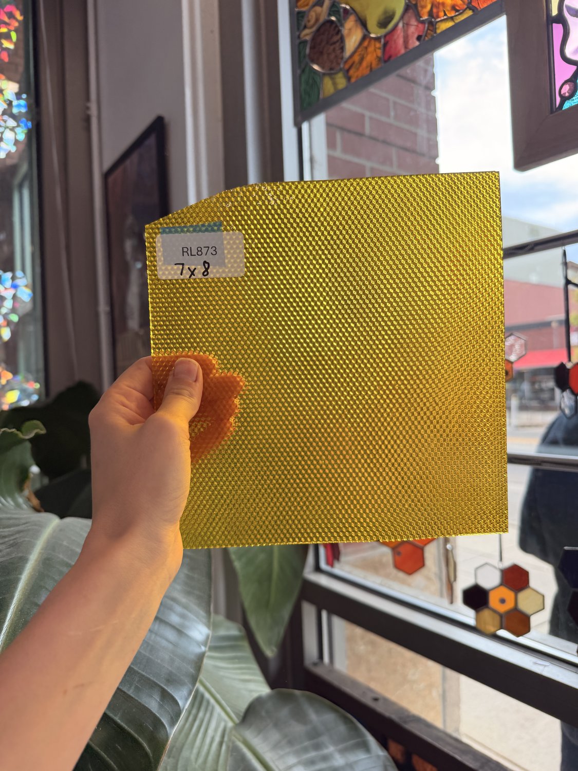 Dandelion Transparent Cube Sheet Glass