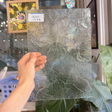 Clear Textred Kokomo Florentine