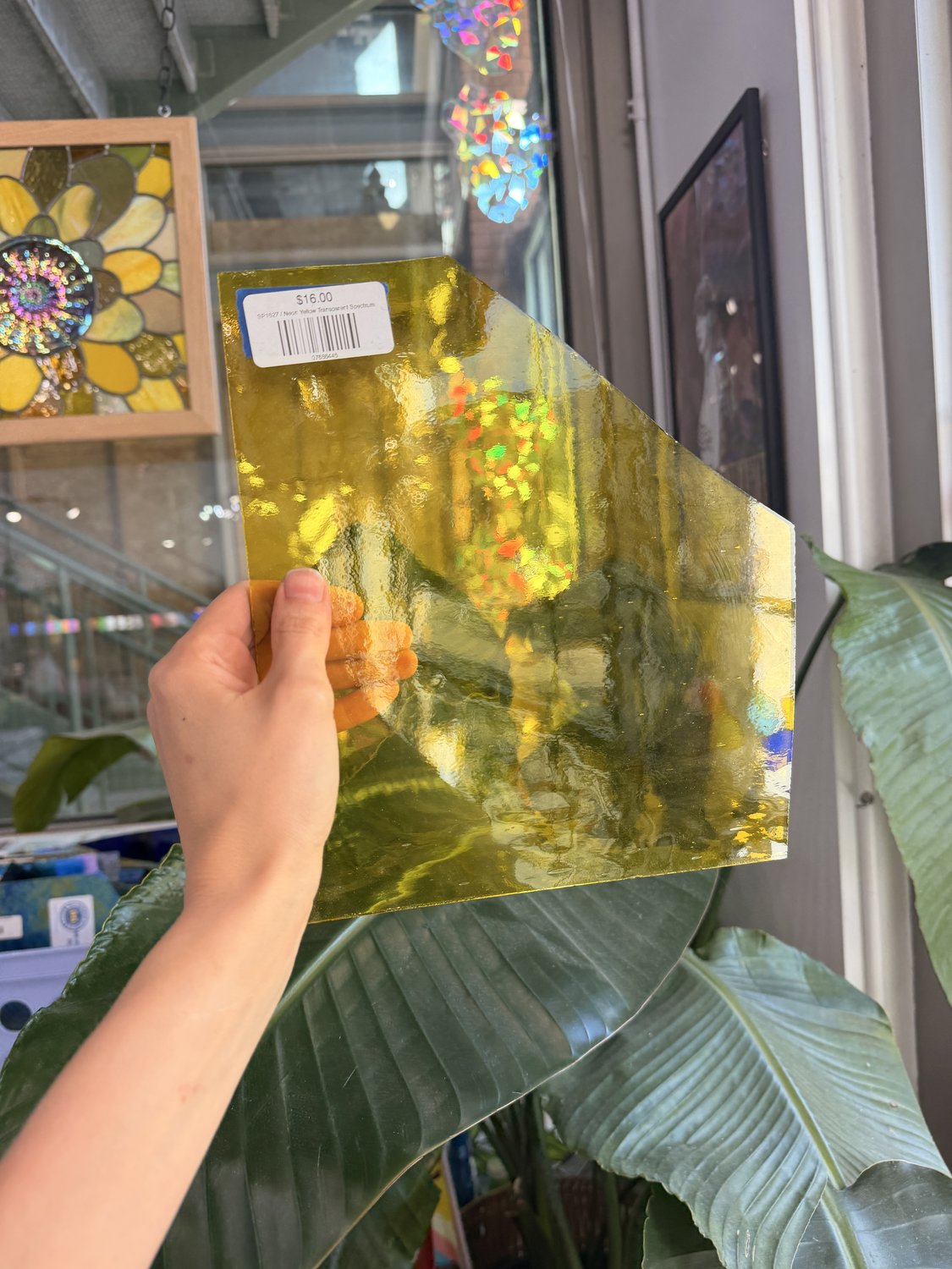 Neon Yellow Transparent Spectrum