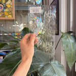 Clear Waterglass Spectrum