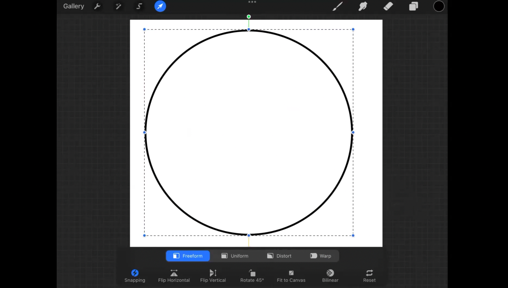 Online Class: How to Draw Stained Glass Patterns Using ProCreate Tools Colorado Glass Works
