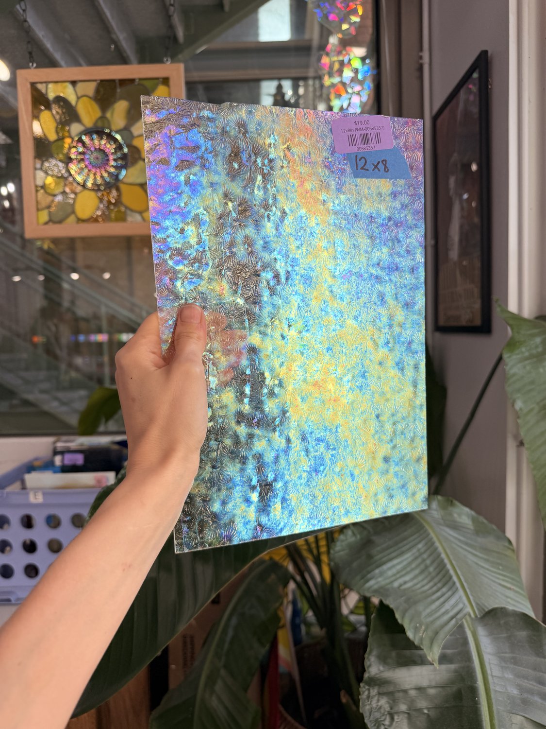 Clear Iridescent Florentine