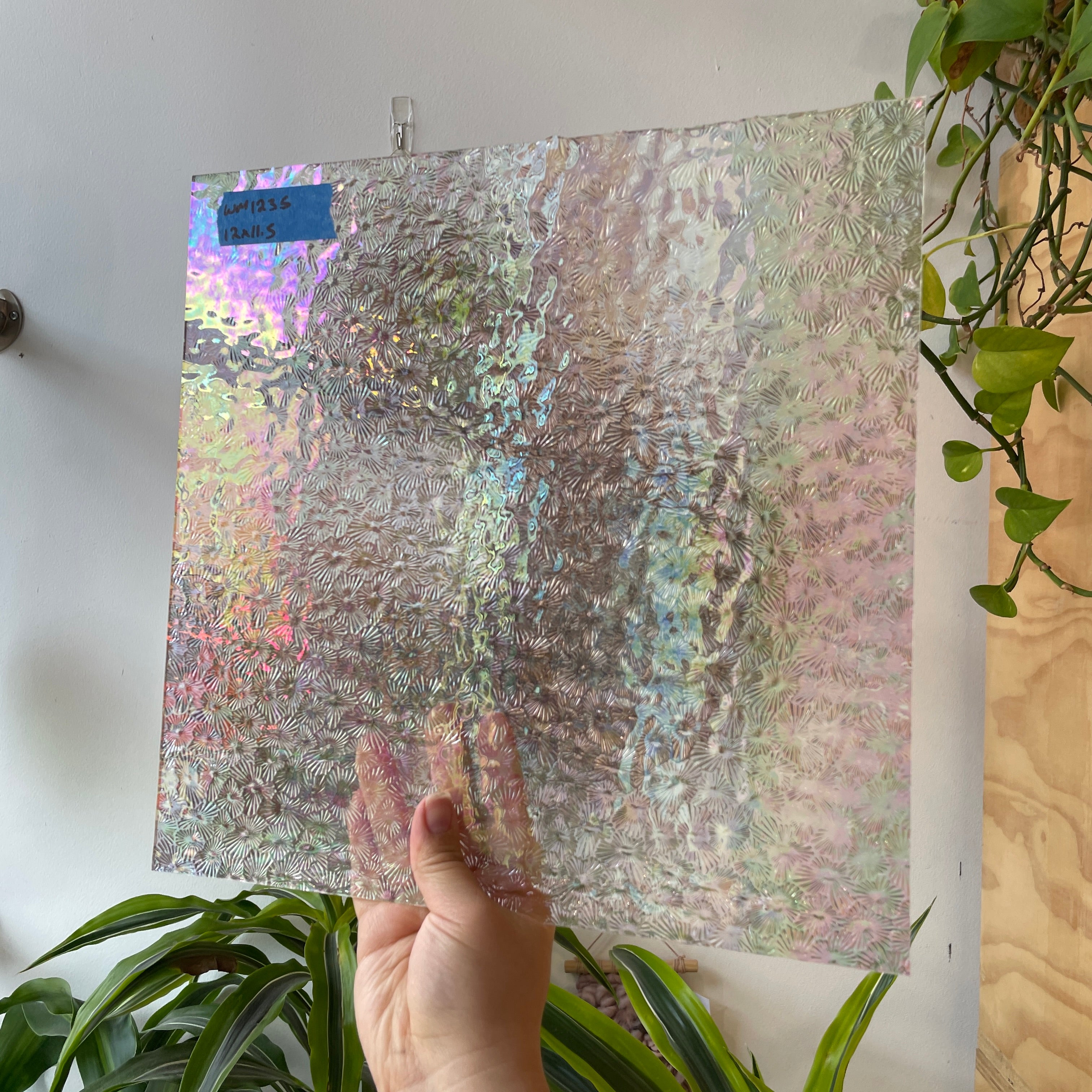 Iridescent Clear Florentine Wissmach Sheet Glass Colorado Glass Works WM1235 (12x11.5in)