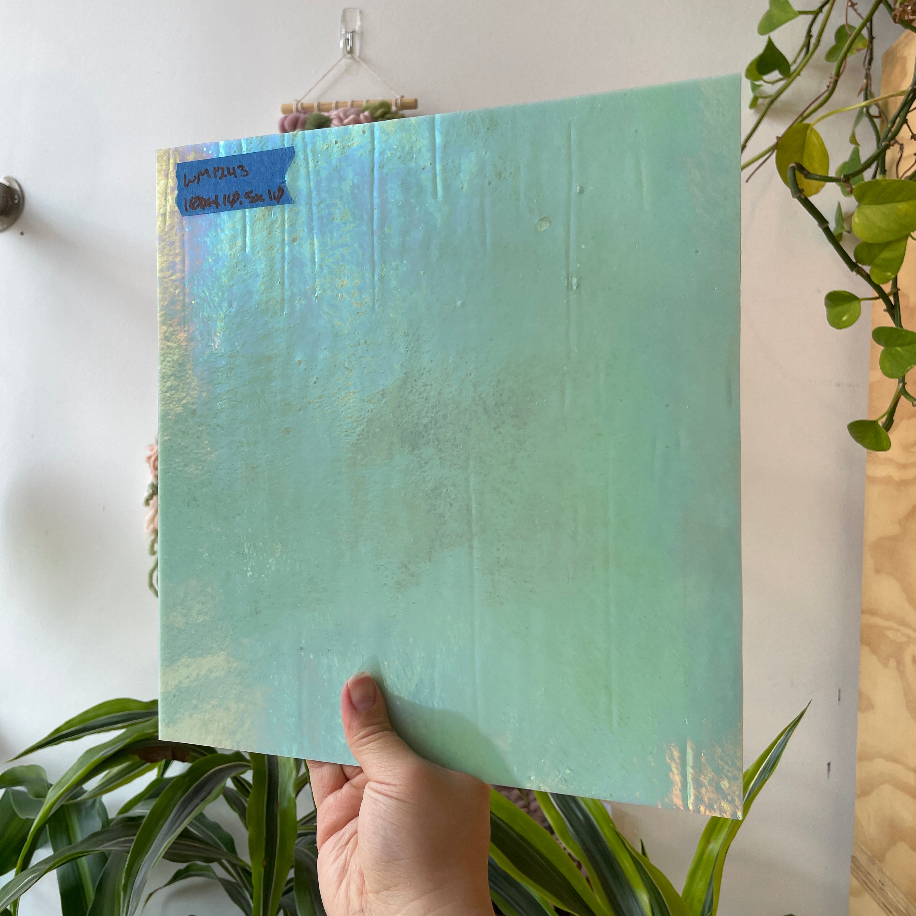 Mint Green Iridescent Wissmach Fusible 96 COE Sheet Glass Colorado Glassworks WM1243 (10.5x10in)