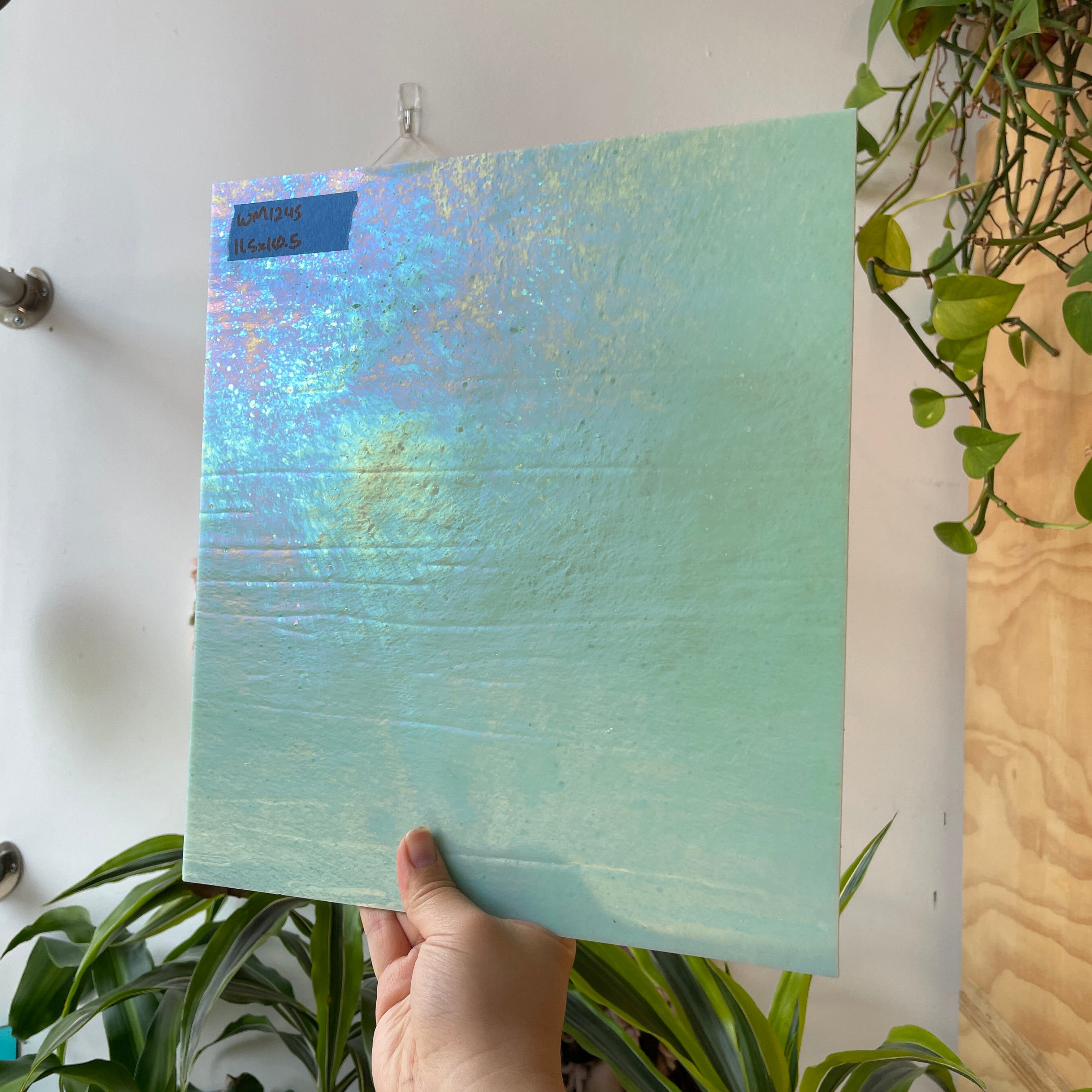 Mint Green Iridescent Wissmach Fusible 96 COE Sheet Glass Colorado Glassworks WM1245 (11.5x10.5in)