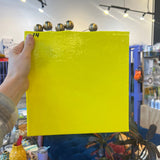 Bullseye Bright Citrus Yellow Sheet Glass Colorado Glassworks 10x10  